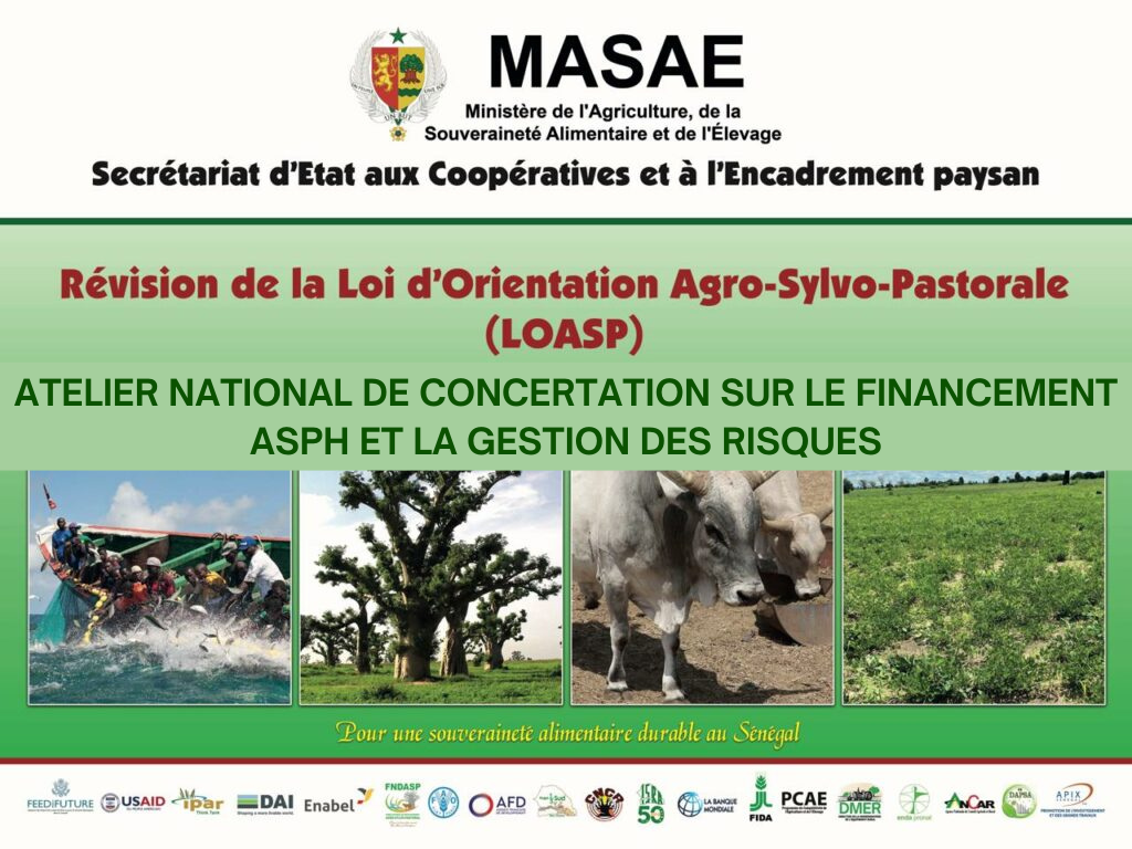 Révision de la LOASP au Sénégal : Des concertations initiées pour identifier des mécanismes innovants et adaptés de financement du secteur ASPH et améliorer la gestion des risques liés aux aléas climatiques et économiques