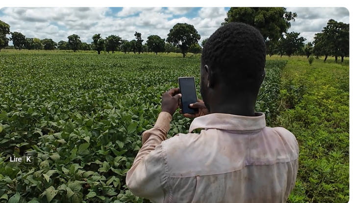 Comment mesurer la surface exacte de ma parcelle ?