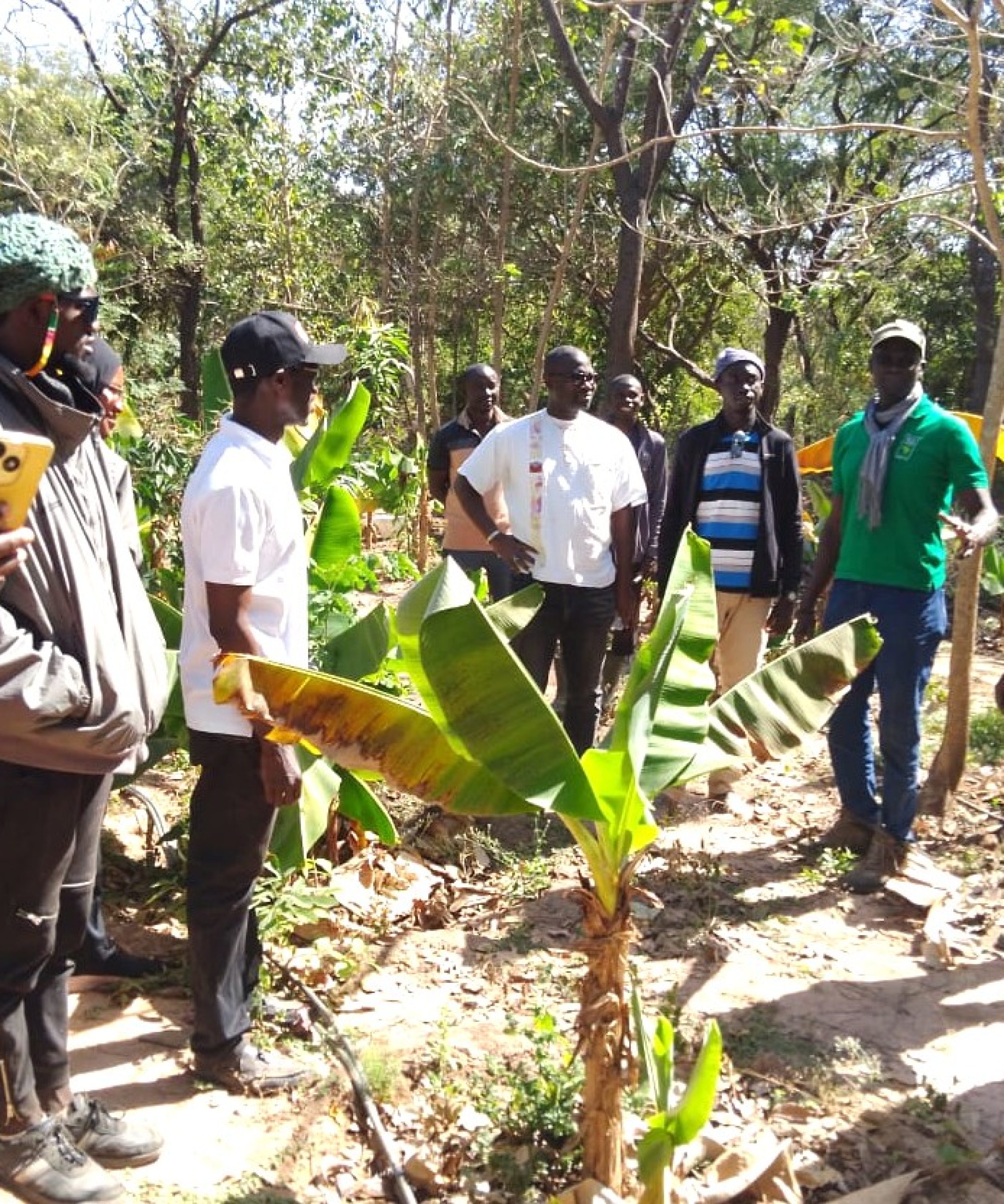 2- Bignona formation de jeunes entrepreneurs agroécologiques (1)