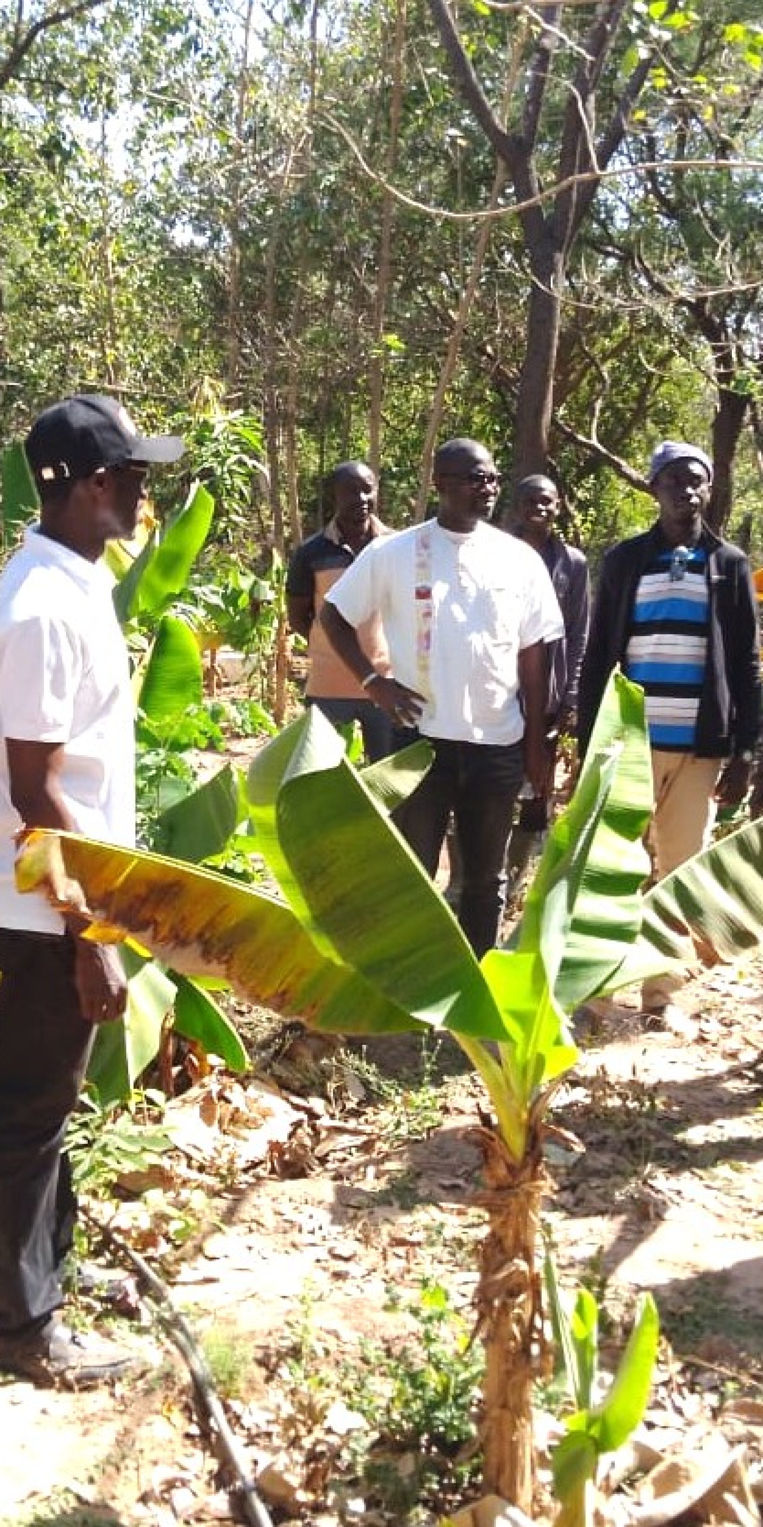 2- Bignona formation de jeunes entrepreneurs agroécologiques (1)