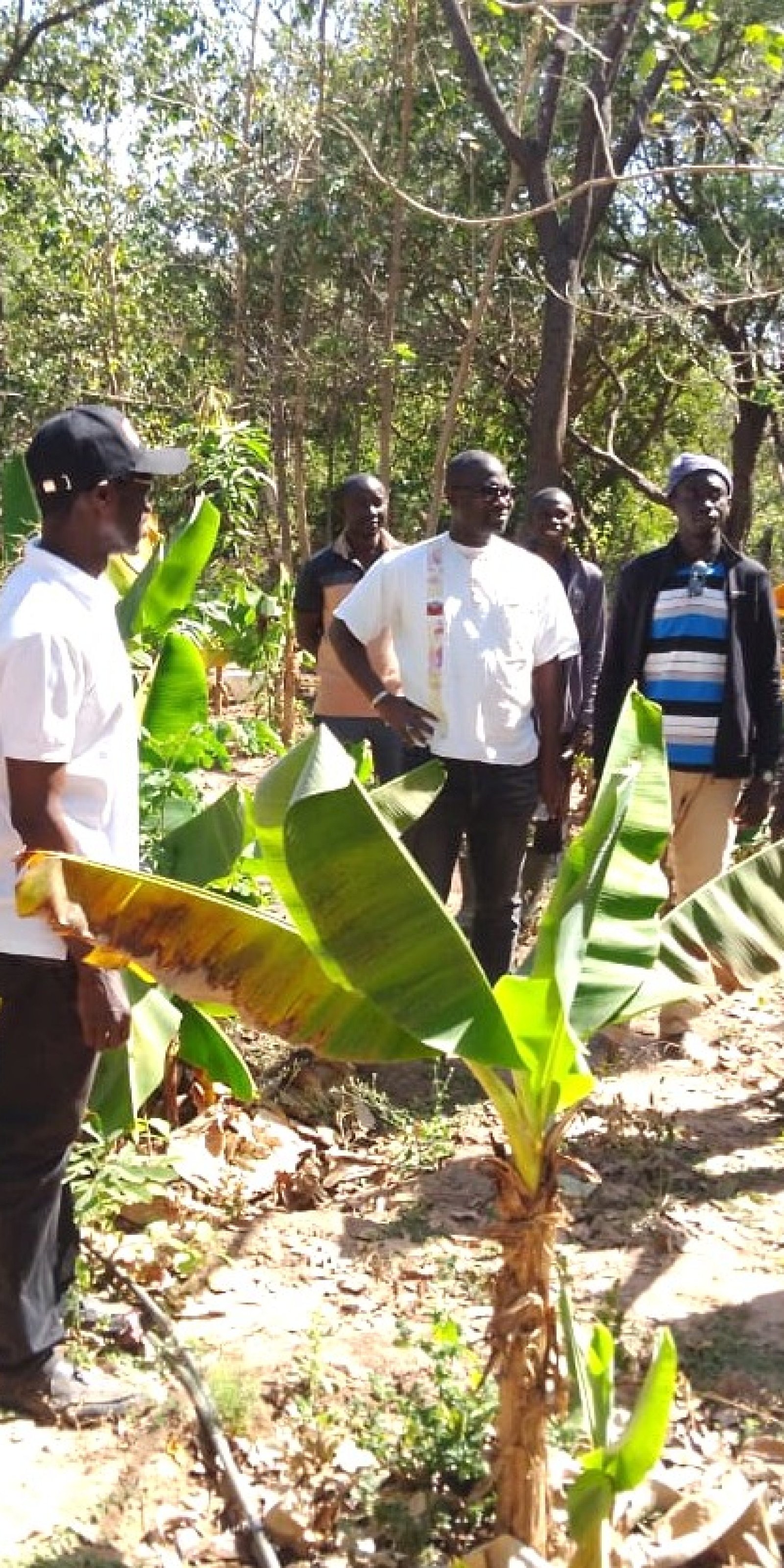 2- Bignona formation de jeunes entrepreneurs agroécologiques (1)